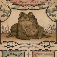 final Toad