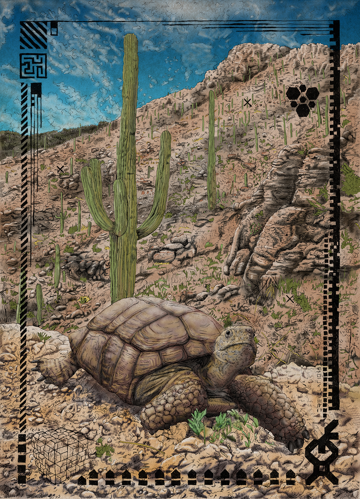 Tortoisix